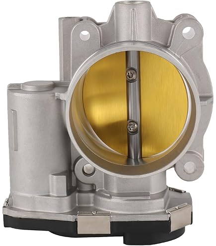 Amazon.com: General Motors ACDelco Genuine Parts 20832744