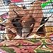 Oncpcare Pet Cage Hammock, Bunkbed Sugar Glider Hammock, Guinea Pig Bedding for Small Animal Parrot Ferret Squirrel Hamster Rat Playing Sleeping