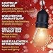 RZSAIDA Light Outdoor String Lights 48 ft Thick Bulb with Hanging Sockets Weatherproof Commercial Grade Bistro Backyard Market Patio Cafe Porch Garden Deck Gazebo Pergola Balcony Exterior Strand