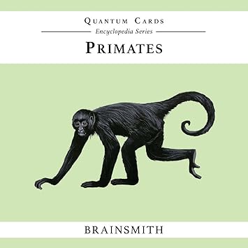 Brainsmith Quantum Flashcards, Primates - Learning Flash Card Set for Preschool and School Kids (8 months to 8 years) for Memory and Brain Development