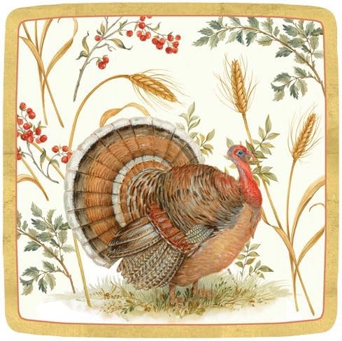 Amazon Com Thanksgiving Paper Plates Thanksgiving Dessert Plates