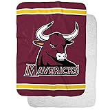 Colorado Mesa University Primary Logo Stripes
