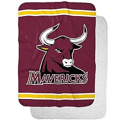 Colorado Mesa University Primary Logo Stripes