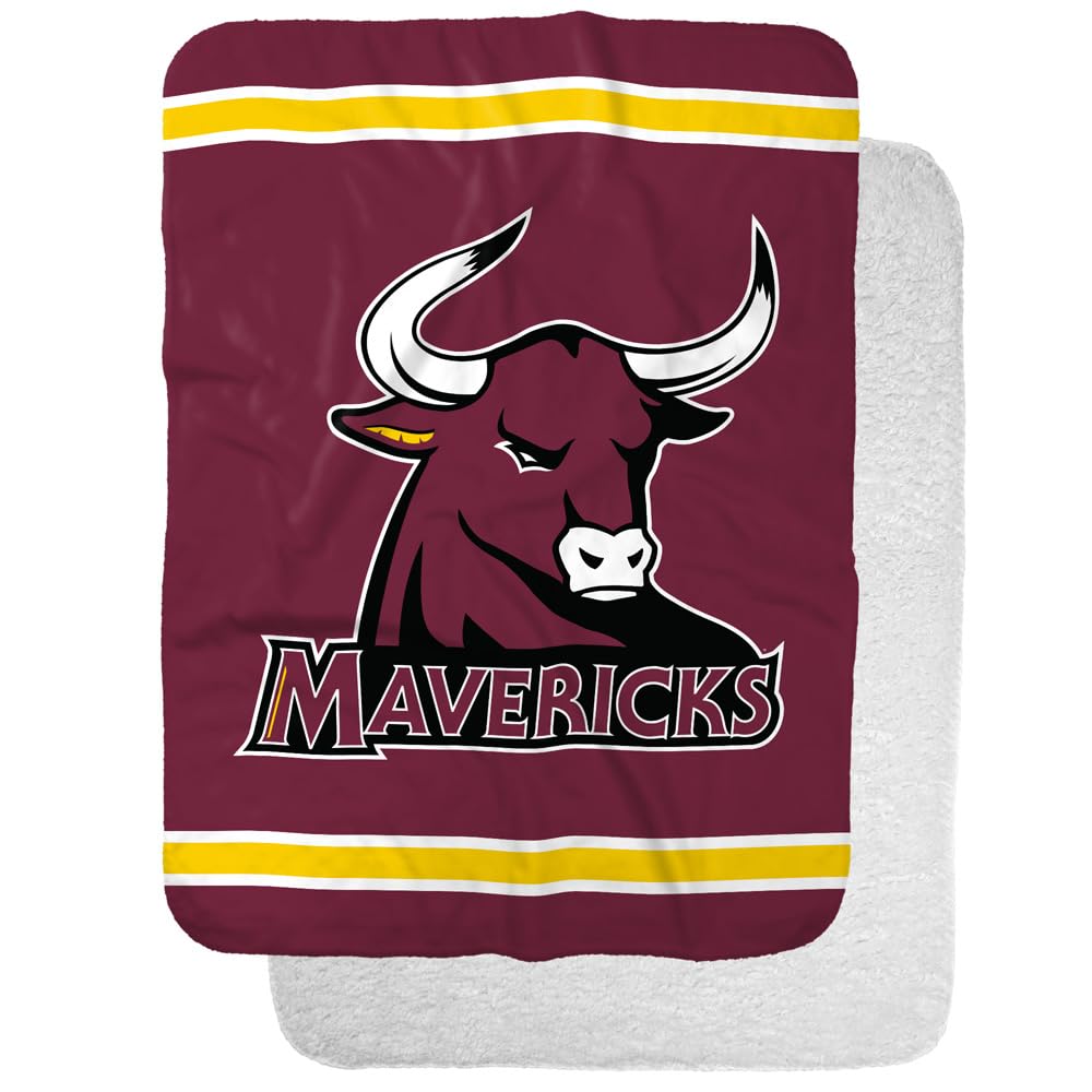 Colorado Mesa University Primary Logo Stripes