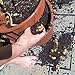 Grow Your Own Potatoes Pot, 2-Piece Plastic Container (Brown)