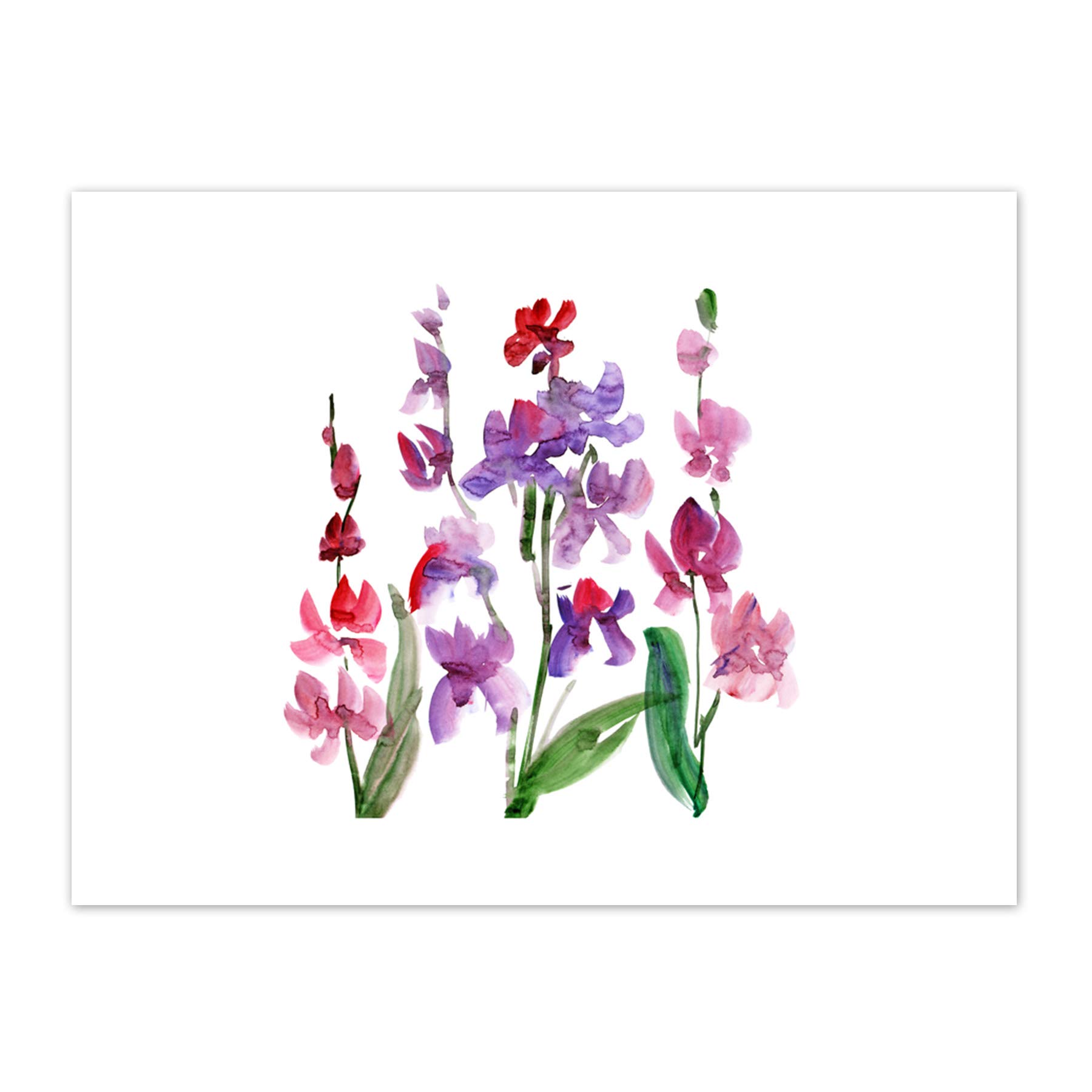 Wee Blue Coo Flower Orchid Watercolour Art Print Canvas Premium Wall Decor Poster