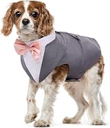 PUMYPOREITY Dog Tuxedo Set with Bandana Grey M Velcro Front Detachable Bow Tie