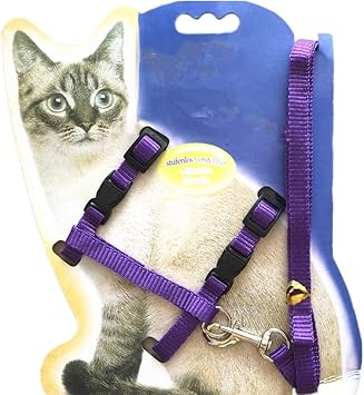 Ensemble De Harnais Et De Laisse Pour Chat Reglables Corde De Securite En Nylon Pour Petits Animaux Pour Chaton Kitty A Pied Par Thebigthumb Violet Amazon Fr Animalerie