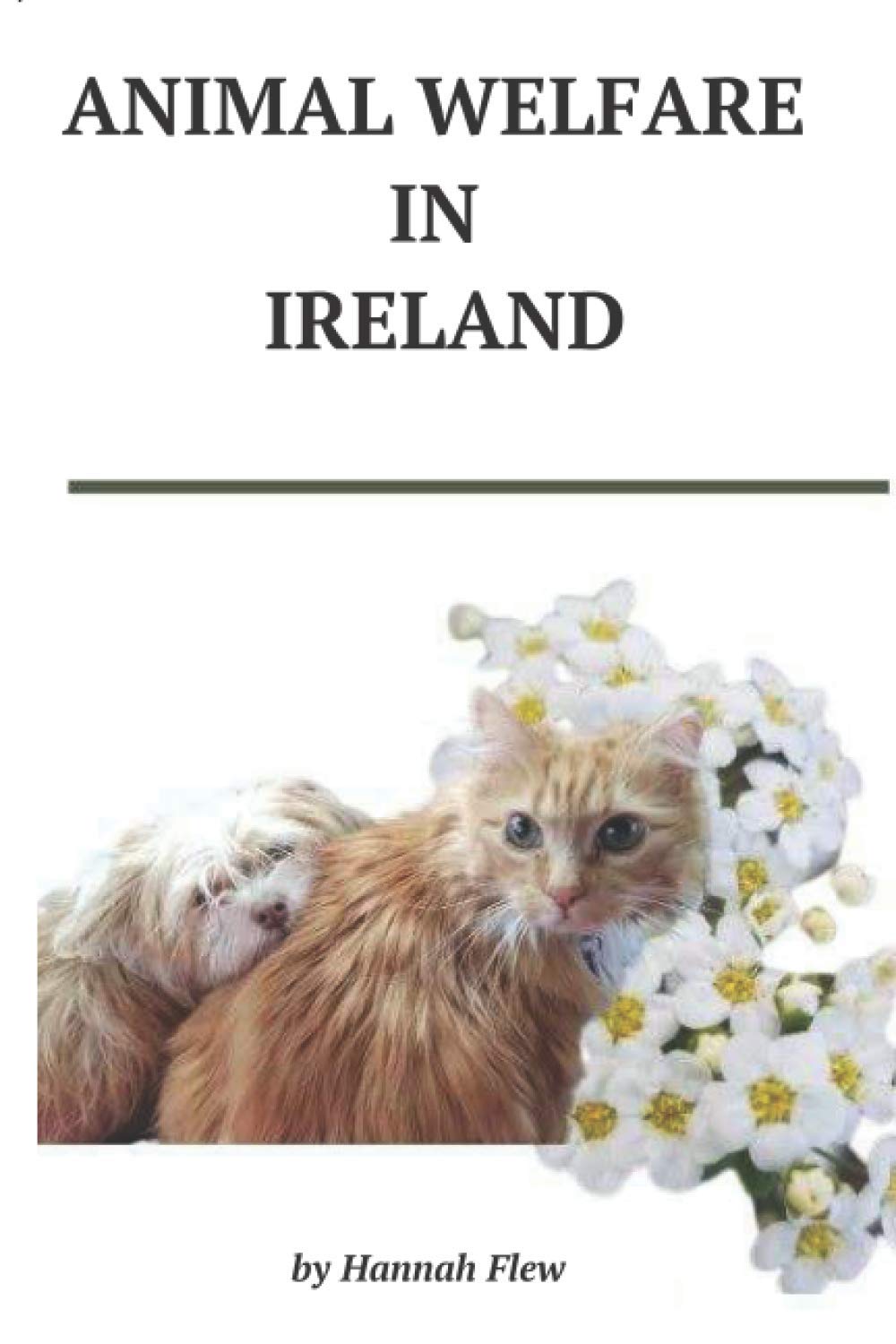 Animal Welfare in Ireland: Animal Care