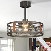 Passky 20" Caged Ceiling Fans with Lights and Remote, Downrod Fandelier | Reversible DC Motor, 1/2/4H Timer, 6 Speeds, Farmhouse Style, Quiet Operation, for Bedroom, Kitchen, Dining Room, Living Room