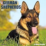 Just German Shepherds 2017 Wall Calendar (Dog Breed Calendars)