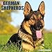 Just German Shepherds 2017 Wall Calendar (Dog Breed Calendars)