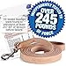 Logical Leather 6 Foot Dog Leash - Best for Training - Heavy Full Grain Leather Lead - Tan