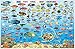 Fiji Dive Sites and Reef Creatures Map Electronic Franko Maps Fish ID Card and Map