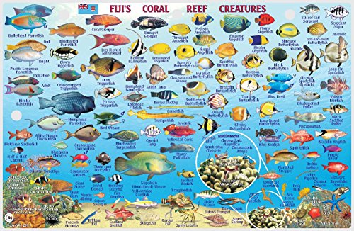 Fiji Dive Sites and Reef Creatures Map Electronic Franko Maps Fish ID Card and Map