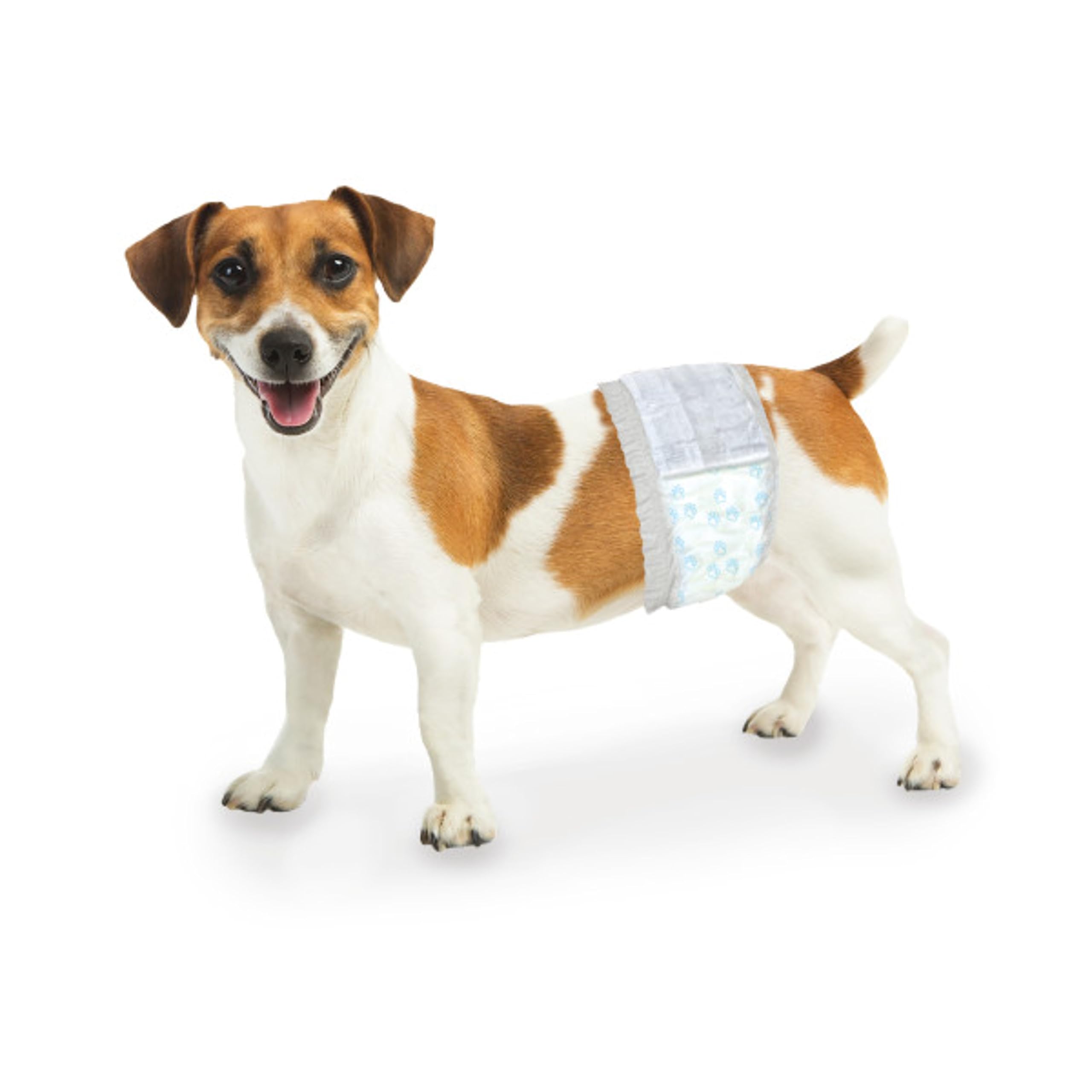 Four Paws Wee-Wee Products Disposable Male Dog Wraps (12 Pack), X-Small/Small
