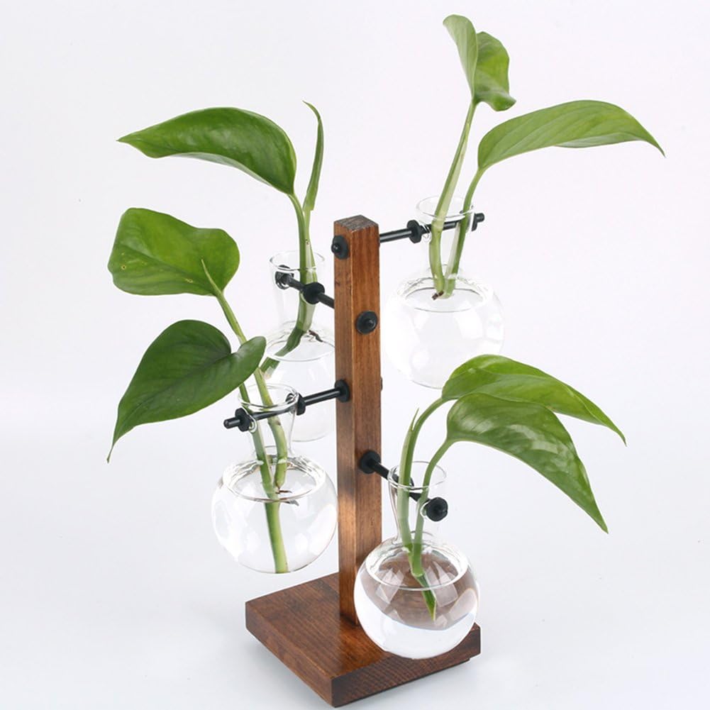 Siyaglass Decorative Clear Glass Planter Bulb Vases with European Beech Wood Holder Stand