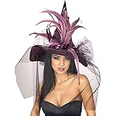 Rubies Costume Co. Women's Witch Hat with Feathers and Veil Costume