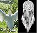 Crochet White Dream Catchers for Bedroom Wall Decor, Malicosmile Handmade Dreamcatcher for Dreams Teenage Girl Room Decorations