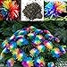 20PCs Rainbow Chrysanthemum Seeds, Easy Grow Colorful Miniature Tree Flower Planting Seeds Blumen Garden Potted Plants Decor