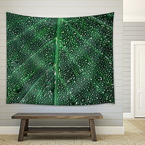 Beautiful Green Leaf with Shiny Drops - Fabric Wall Tapestry Home Decor - 51x60 inches