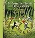 The Midsummer Tomte and the Little Rabbits: A Day-by-day Summer Story in Twenty-one Short Chapters