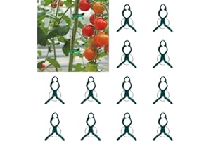 DRKICSY Secured Plastic Plant Clips, Plant Support Clips Plant Clips for Climbing Plants, Plant Fixing Clips Tomato Clips for String Trellis, Garden Clips Vine Fixing Clip Plant Vine Clips (100, B# Small)