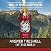 Old Spice Men's Body Wash, Wolfthorn Scent, Wild Collection, 16 Fluid Ounce (Pack of 6)