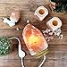 Lotous (8-13 lbs,7-10in) Large Pink Himalayan Salt Lamp Lights, Himalayan Salt Table Lamp Platinum Base Touch Dimmer Switch Control and 1 Salt Night Light, Set of 2 Pack Salt Candle Holder