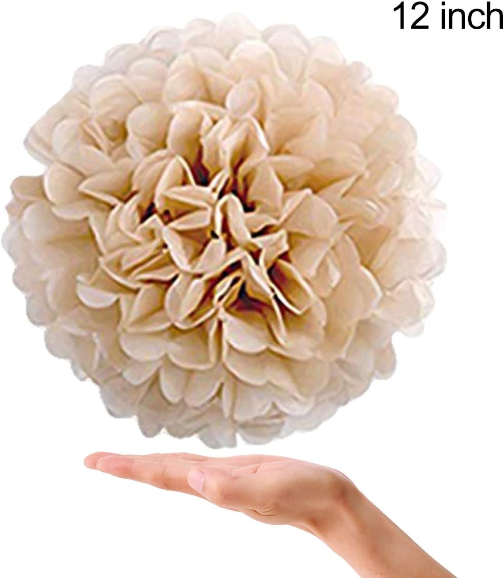 Tissue Paper Pom Poms Paper Flower 22 Pcs Champagne, Peach, Ivory - Image 5