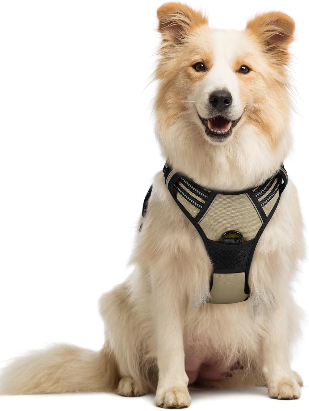rabbitgoo Dog Harness Medium No Pull 2 Leash Clips Reflective Adjustable