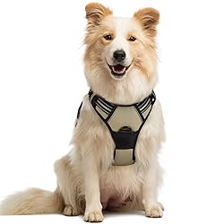 rabbitgoo Dog Harness No Pull with 2 Leash