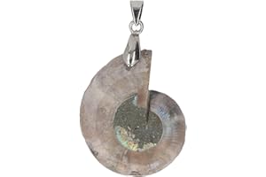 aqxreight Ammonite Shell Pendant Handcrafted Vintage Nature Ammonite Pendant for Women Men Captivates Effortlessly Amazing a 