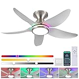 Kviflon Ceiling Fans with Lights Remote/APP