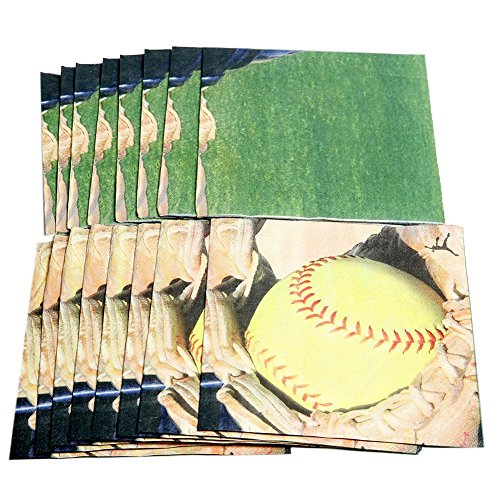 Havercamp Girl's Fastpitch Softball Party Luncheon Napkins 16 per Package