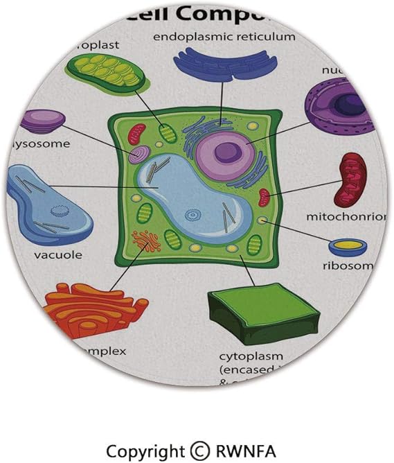 Quality Well Woven Barclay Round Area Rugs