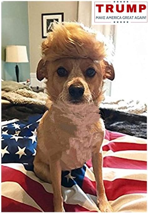 Unekorn Ultra Comfort Adjustable Make Ameowica Great Again Maga Trump Slogan Cat Hat Pet Costume For
