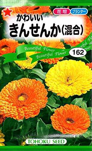 【種子】 かわいいきんせんか(混合) トーホクのタネ
