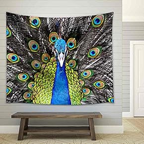 Peacock in The Thailand Zoo - Fabric Wall Tapestry Home Decor - 51x60 inches