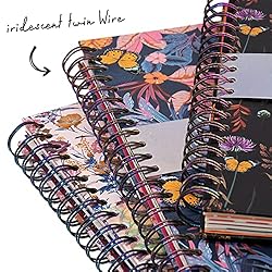 Pukka Pad 5 Subject Spiral Notebook 3-Pack - 200