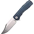 Petrified fish PFP03 Victor,3.58" K110 Satin Blade,140g Micarta Handel Flipper Liner lock Folding knife (Blue Satin)