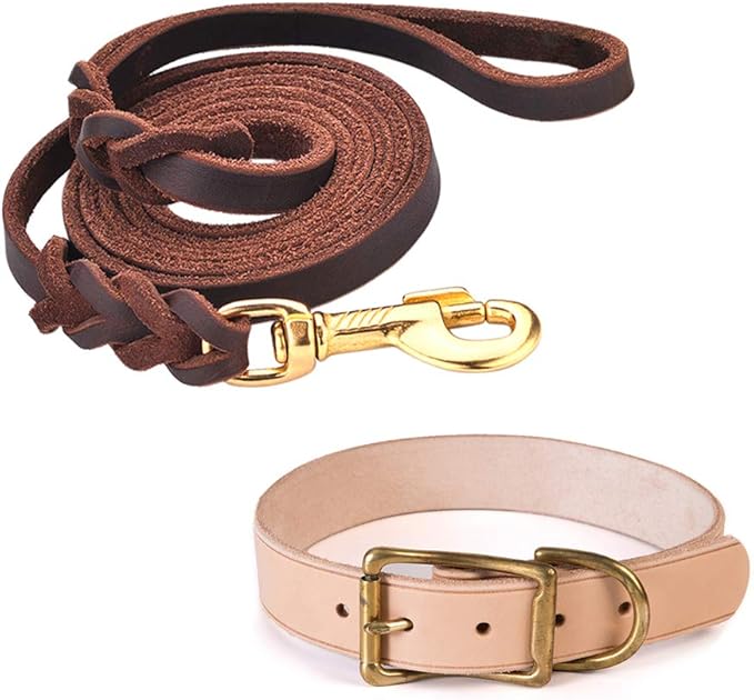 DAIHAQIKO Leather 4FT Dog Leash and XL Dog Collar Set [1.2