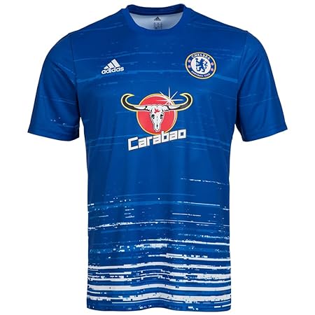 FC Chelsea adidas Herren Pre-Match Trikot AX7012