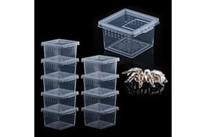 DQITJ 10 Pcs Insect Spider Terrariums Breeding Box Hatching Container Small Reptile Scorpion Centipede Acrylic Breeding Box (Small Size)