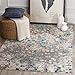 Safavieh Monaco Collection MNC225E Modern Abstract Grey and Light Blue Area Rug (3' x 5')