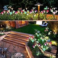 Solarmart Outdoor Solar Garden Lights 2 Pack Solar Powered
