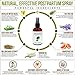 Perineal Spray for Postpartum and Hemorrhoid Care – All Natural Alcohol Free Witch Hazel Spray – 4 Fl Oz