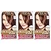 L'Oreal Paris Excellence Creme Permanent Hair Color, 6 Light Red Brown,100 percent Gray Coverage Hair Dye, Pack of 3