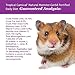 F.M. Brown's Tropical Carnival, Natural Hamster-Gerbil Food, Vitamin-Nutrient Fortified Daily Diet, NO Filler Seeds, NO Artificial Colors or Flavors, 2 lb