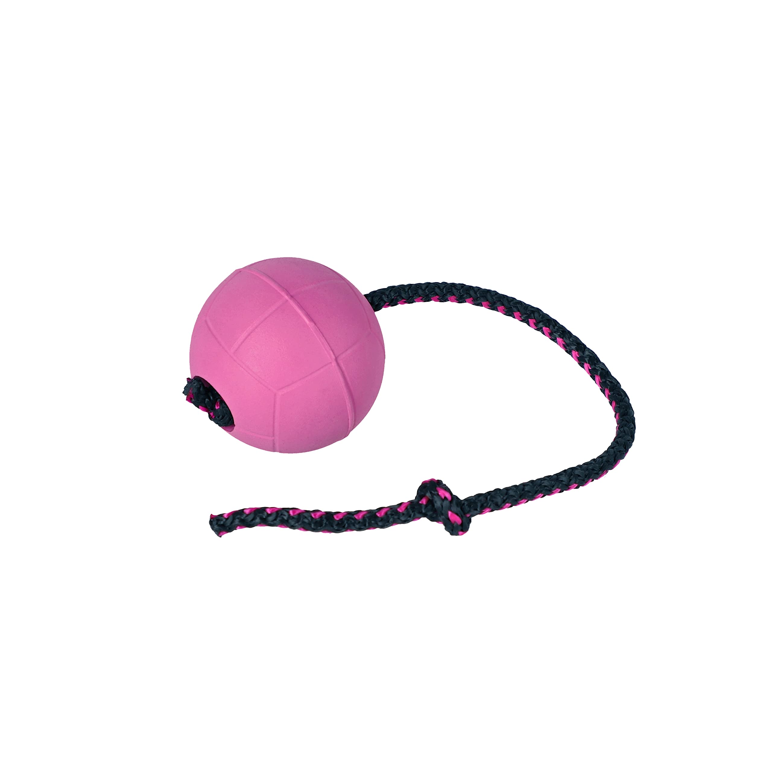 DINGO BIBI Ball 30 cm Handle Floating on Water Filled Rubber Dog Toy with String Pulled Through the Inside for Dog Training Retrieve Agility Reward Fun Blueberry 17255 — image 1